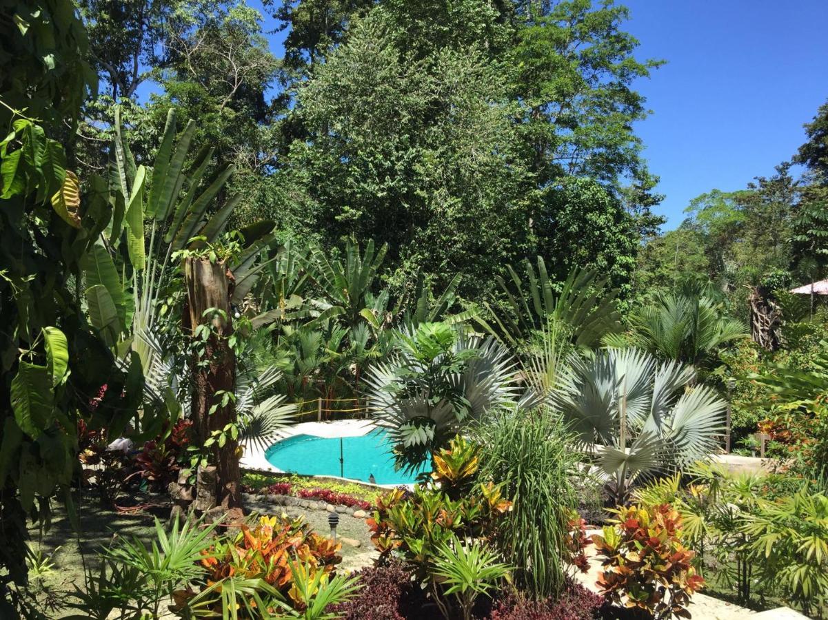 Las Palomas Villas Cocles Luaran gambar