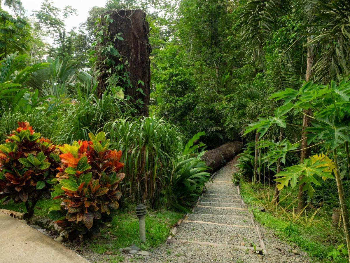 Las Palomas Villas Cocles Luaran gambar