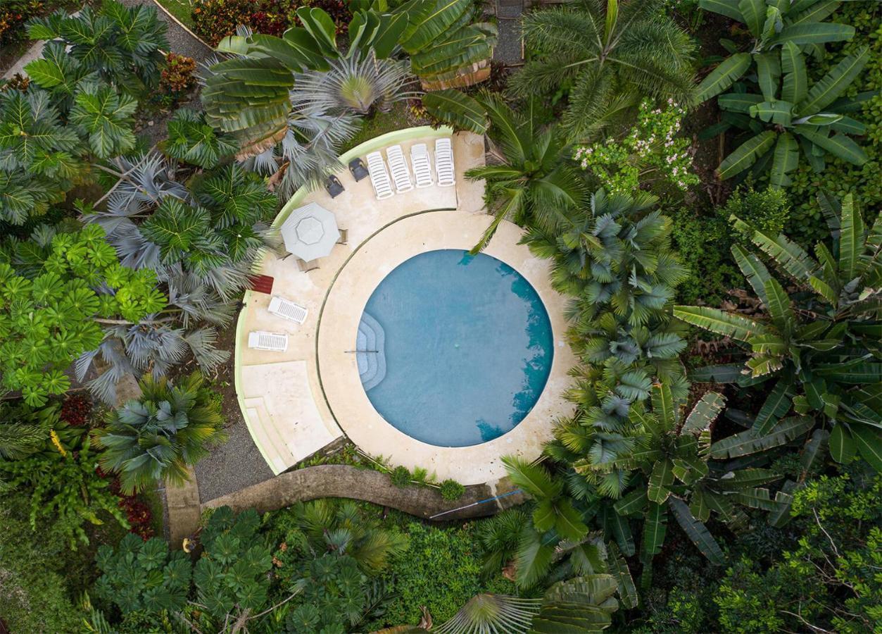 Las Palomas Villas Cocles Luaran gambar