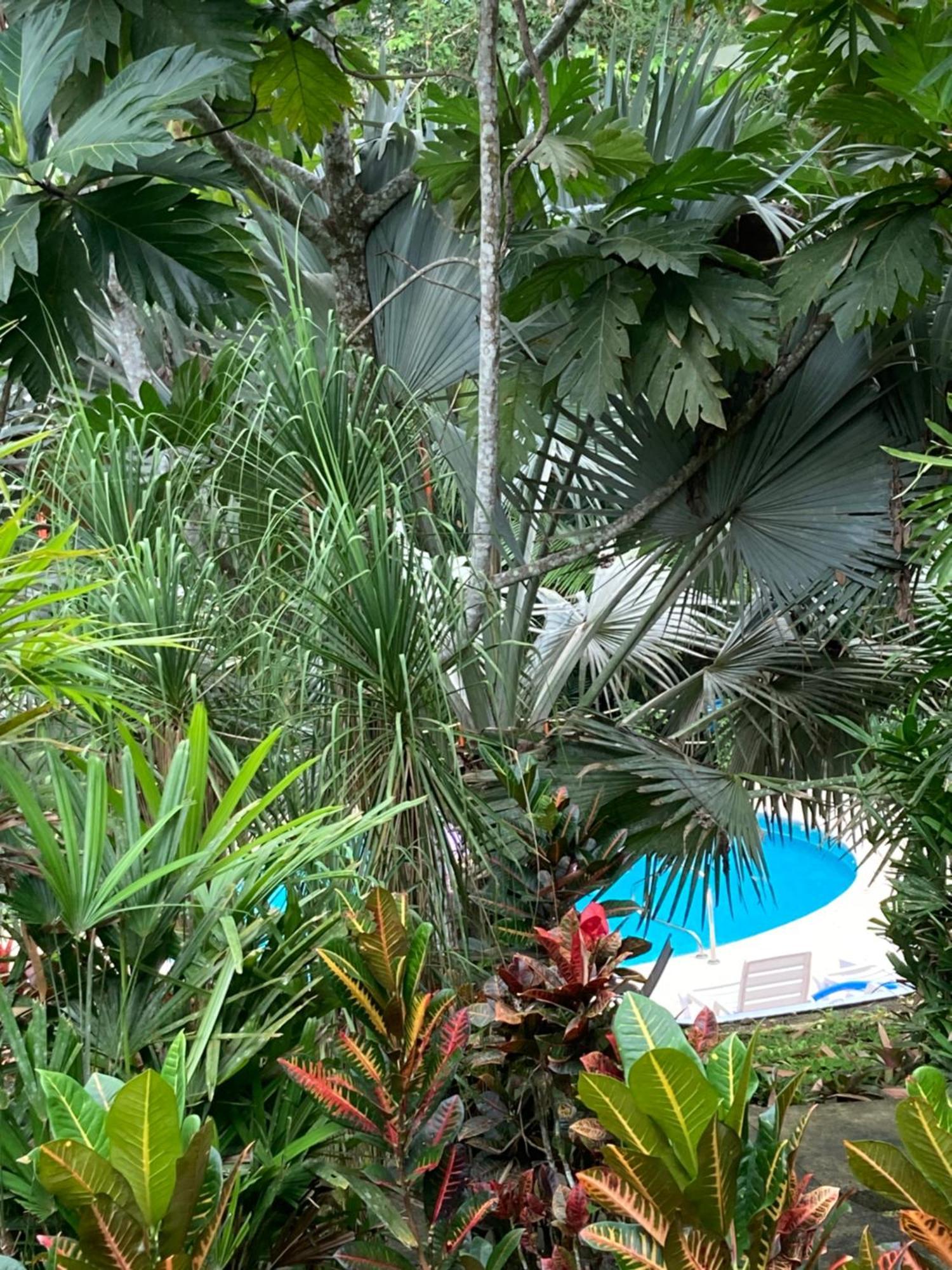 Las Palomas Villas Cocles Luaran gambar