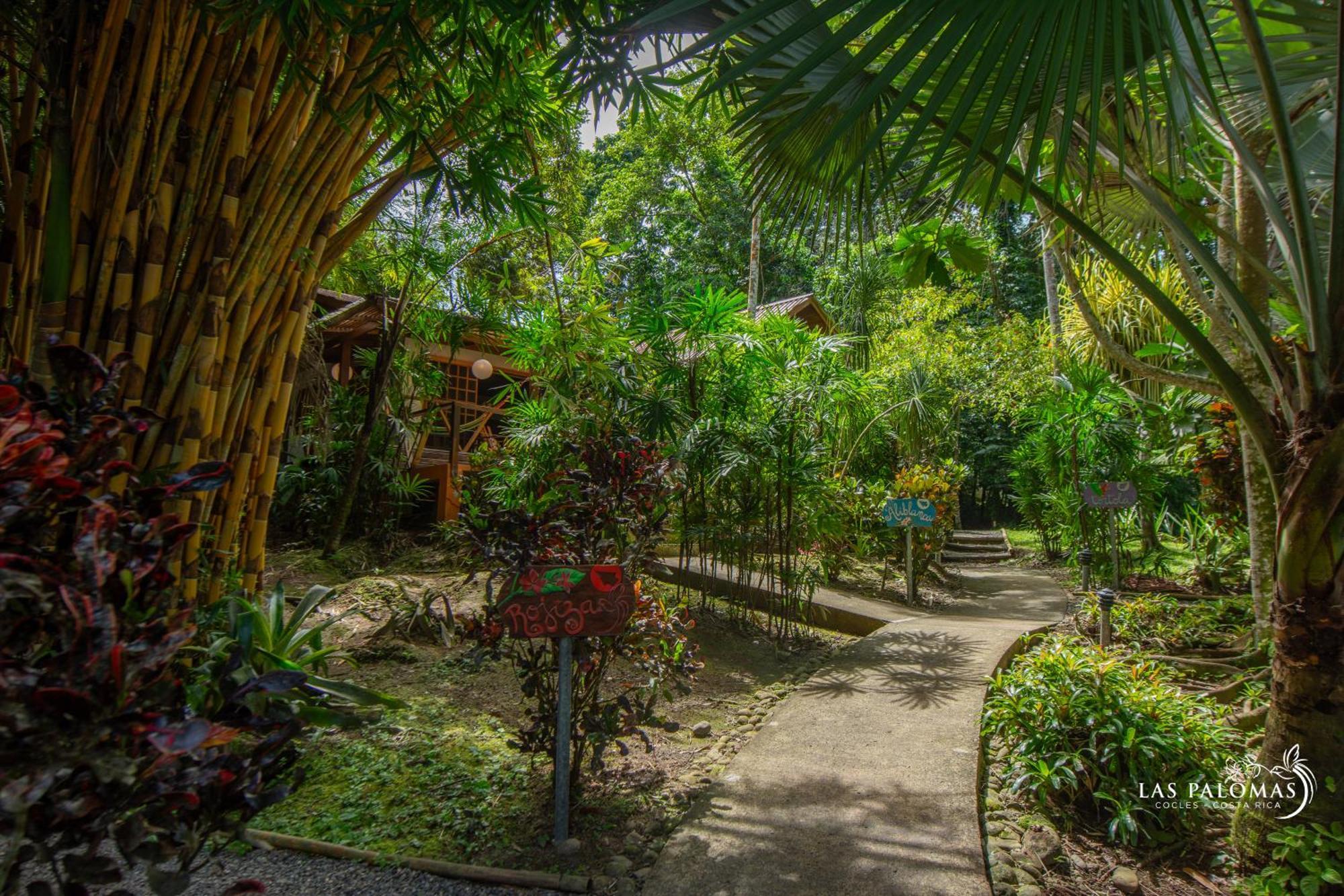 Las Palomas Villas Cocles Luaran gambar