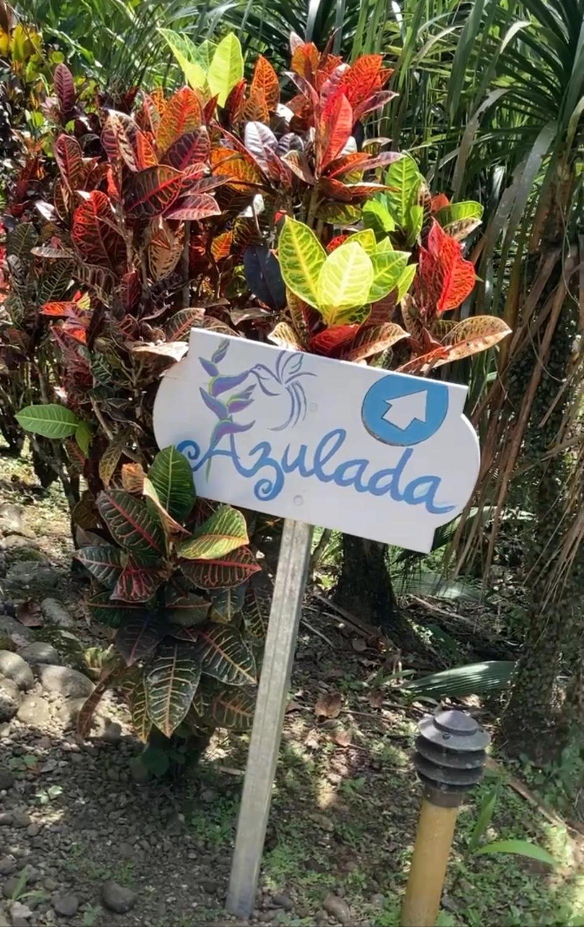 Las Palomas Villas Cocles Luaran gambar