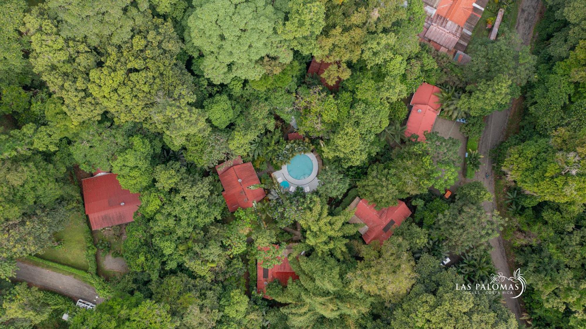 Las Palomas Villas Cocles Luaran gambar