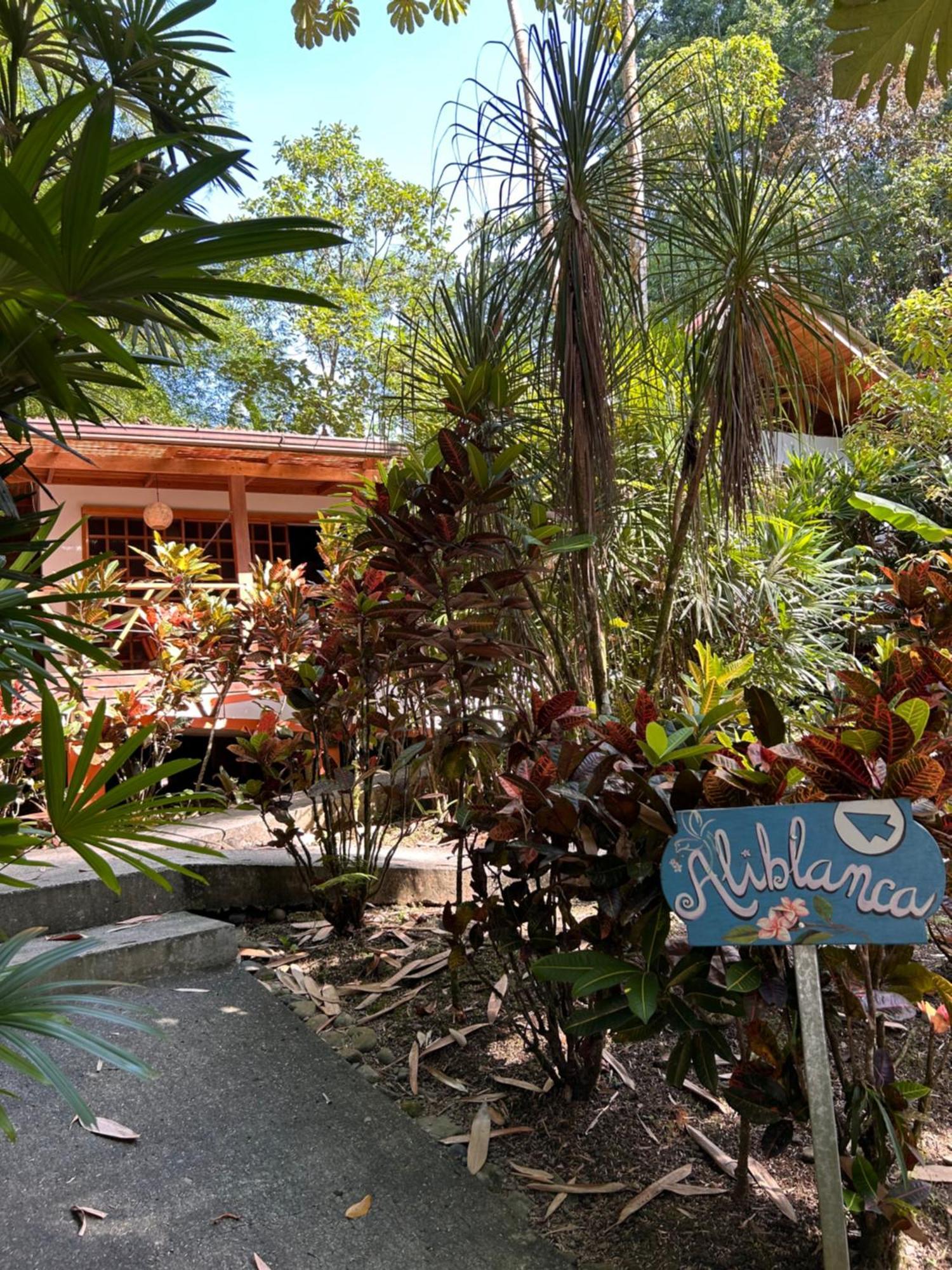 Las Palomas Villas Cocles Luaran gambar
