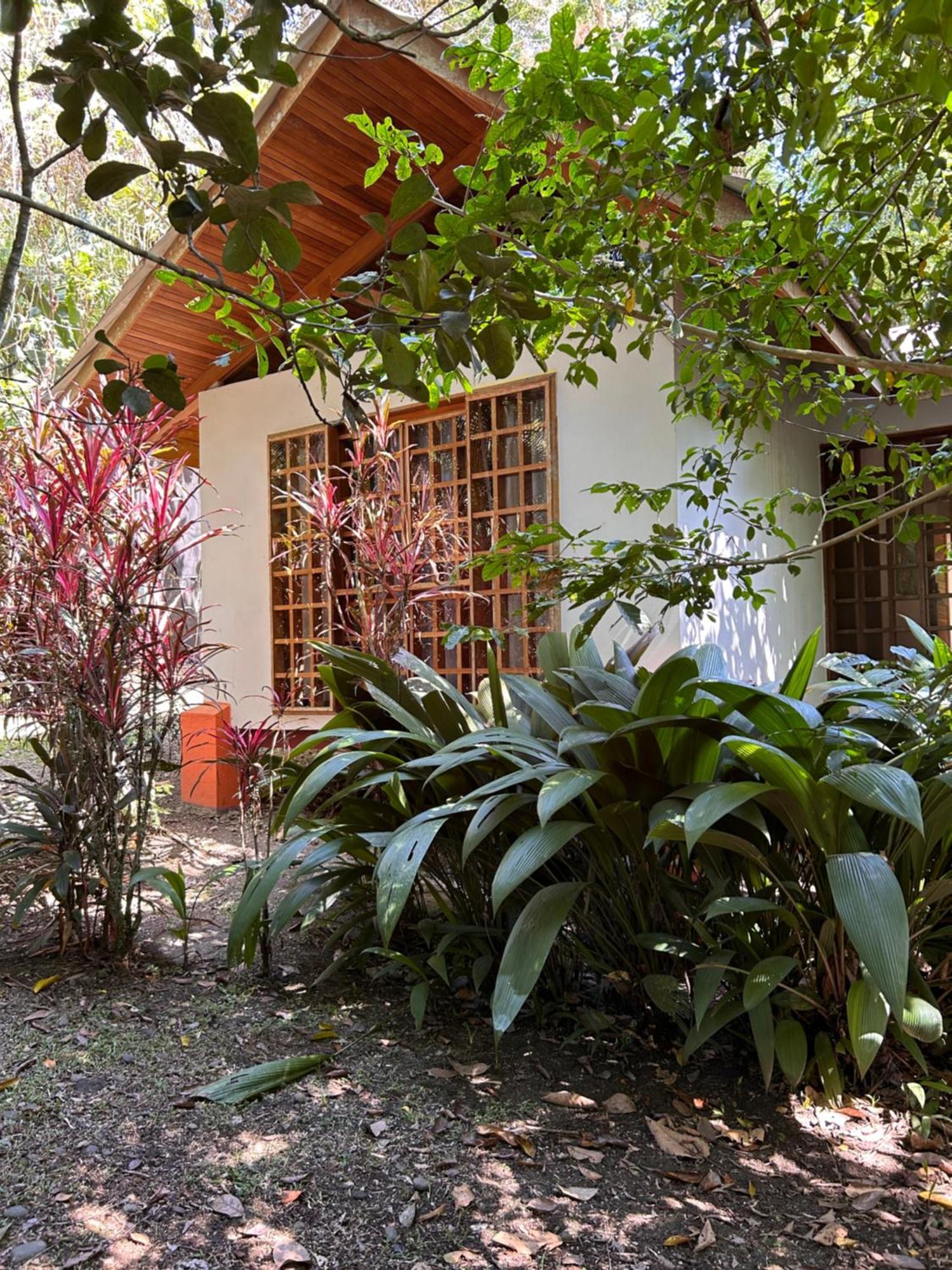 Las Palomas Villas Cocles Luaran gambar